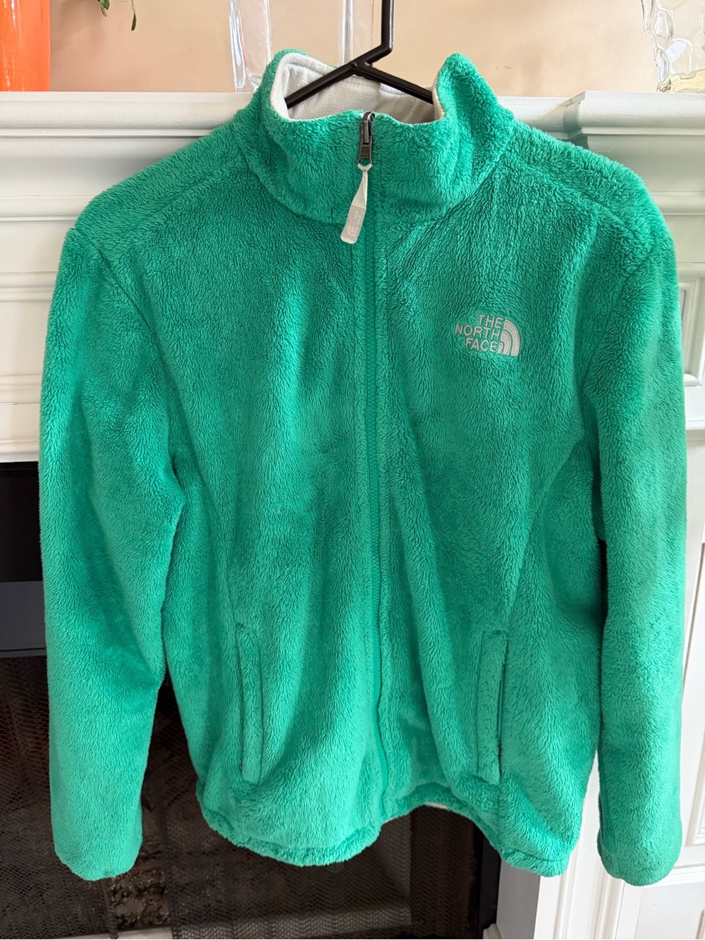 The North Face Bright Teal Full-Zip Fleece Jacket